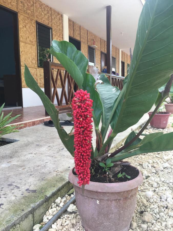 Panglao Rainbow Inn Tagbilaran City Exterior photo